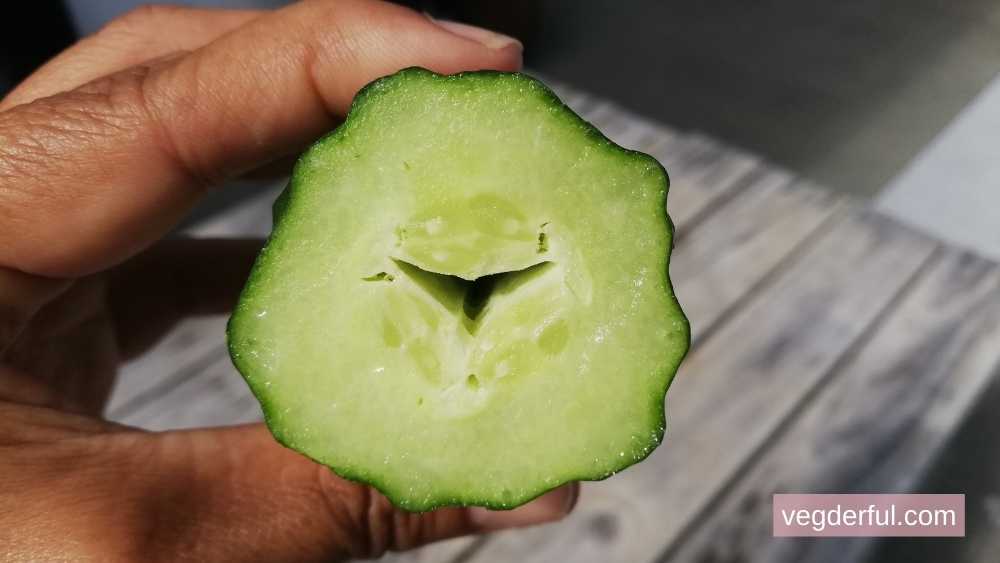 cucumber with a hole in the middle