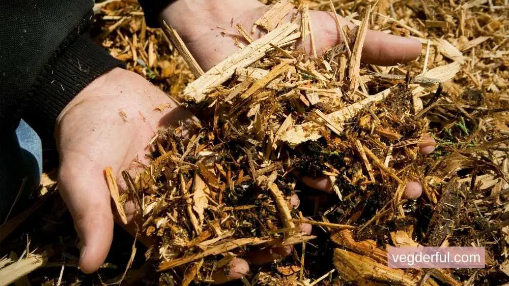 What is the best mulch to keep bugs away