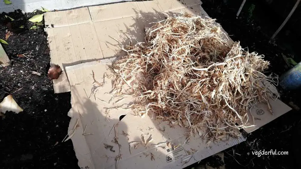 The Lasagna Method using cardboard for composting